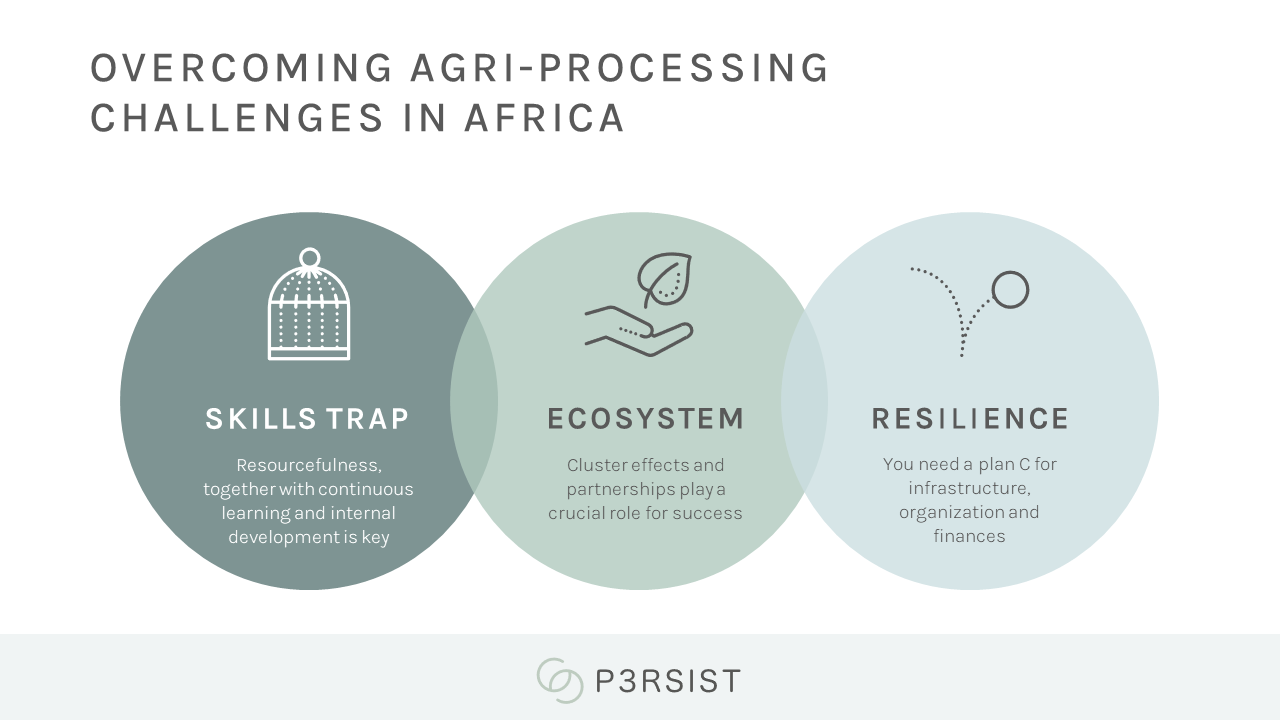 Image of the three key challenges to agri-processing in Africa: the skills trap, the manufacturing ecosystem and business resilience.