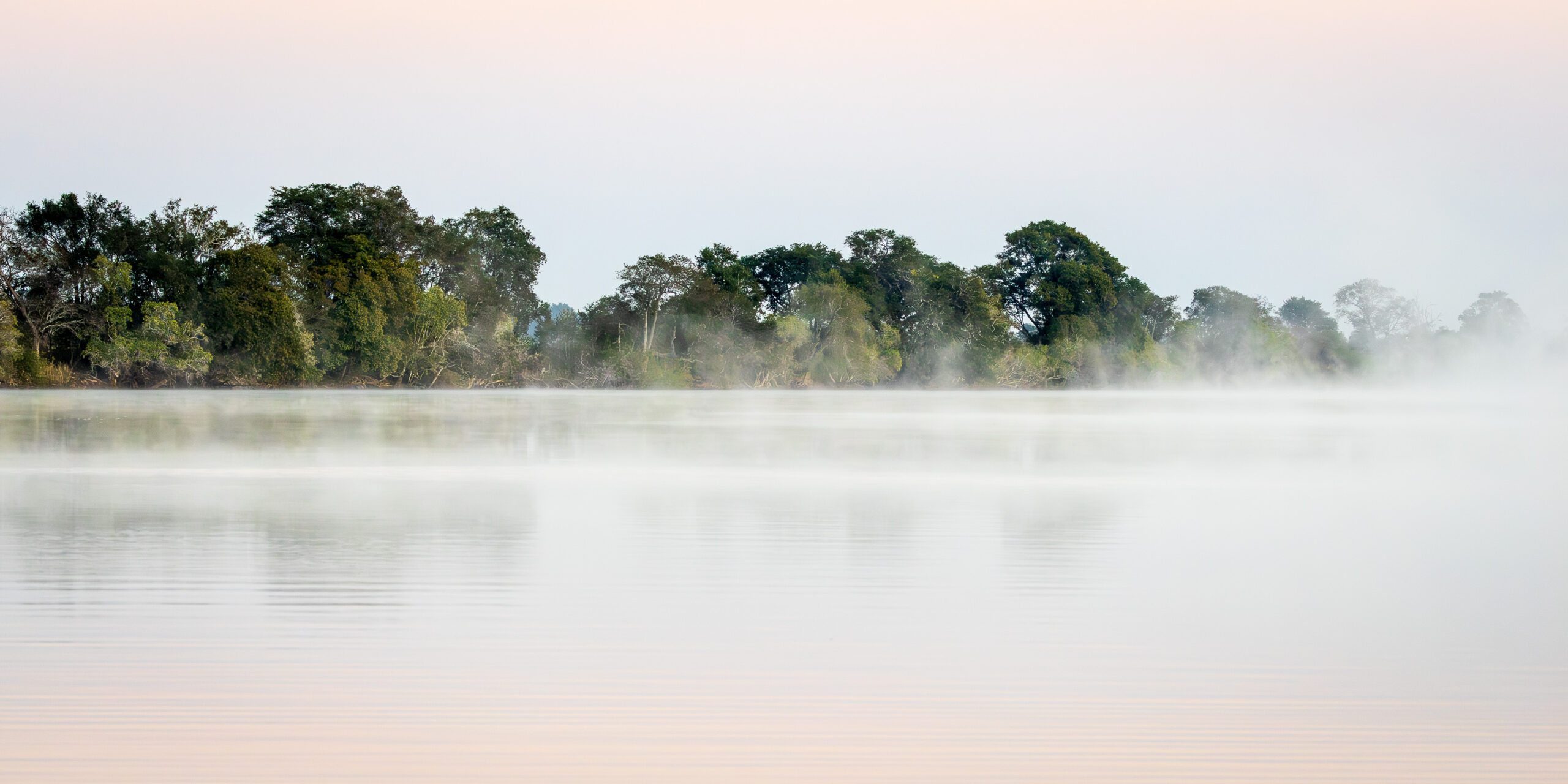 Lifting fog. Execution clarity.